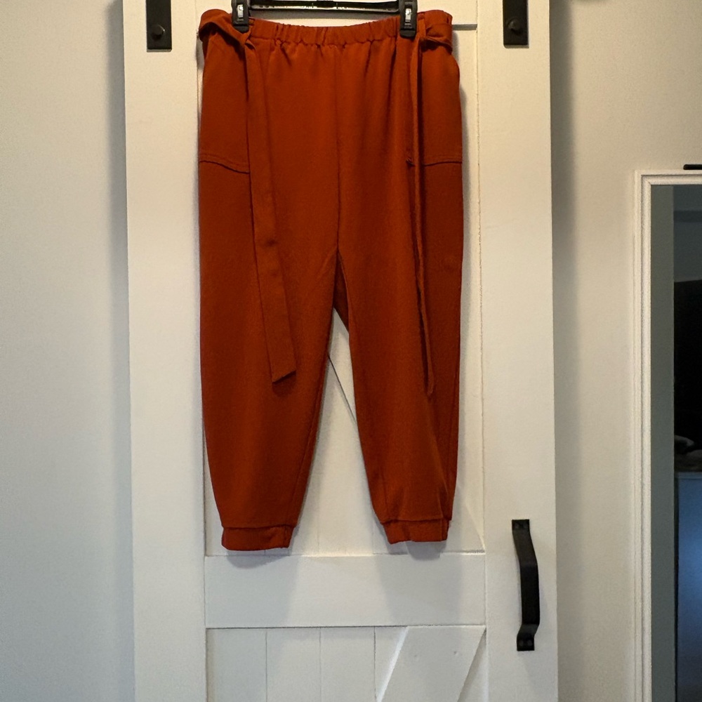 One By One Rust Jogger Pants